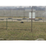 Zdjęcia użytkowników Sony Xperia T HSPA Zdjęcia użytkowników Sony Xperia T HSPA