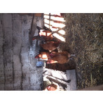 Zdjęcia użytkowników Sony Xperia T HSPA Zdjęcia użytkowników Sony Xperia T HSPA