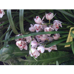 Zdjęcia użytkowników Sony Xperia T HSPA Zdjęcia użytkowników Sony Xperia T HSPA