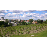 Zdjęcia użytkowników Sony Xperia T HSPA Zdjęcia użytkowników Sony Xperia T HSPA