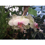 Zdjęcia użytkowników Sony Xperia T HSPA Zdjęcia użytkowników Sony Xperia T HSPA