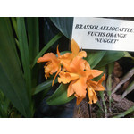 Zdjęcia użytkowników Sony Xperia T HSPA Zdjęcia użytkowników Sony Xperia T HSPA