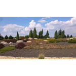 Zdjęcia użytkowników Sony Xperia T HSPA Zdjęcia użytkowników Sony Xperia T HSPA