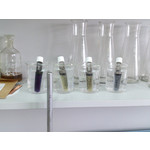 Zdjęcia użytkowników Sony Xperia T HSPA Zdjęcia użytkowników Sony Xperia T HSPA