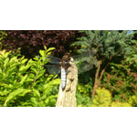 Zdjęcia użytkowników Sony Xperia T HSPA Zdjęcia użytkowników Sony Xperia T HSPA