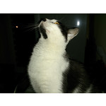 Zdjęcia użytkowników Sony Xperia T HSPA Zdjęcia użytkowników Sony Xperia T HSPA