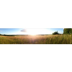 Zdjęcia użytkowników Sony Xperia T HSPA Zdjęcia użytkowników Sony Xperia T HSPA