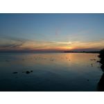 Zdjęcia użytkowników Sony Xperia T HSPA Zdjęcia użytkowników Sony Xperia T HSPA