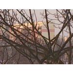 Zdjęcia użytkowników Sony Xperia T HSPA Zdjęcia użytkowników Sony Xperia T HSPA