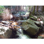 Zdjęcia użytkowników Sony Xperia T HSPA Zdjęcia użytkowników Sony Xperia T HSPA