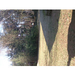 Zdjęcia użytkowników Sony Xperia T HSPA Zdjęcia użytkowników Sony Xperia T HSPA