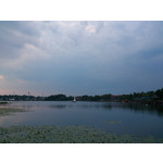 Zdjęcia użytkowników Sony Xperia V