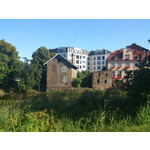 Zdjęcia użytkowników Sony Xperia V