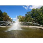 Zdjęcia użytkowników Sony Xperia X Compact