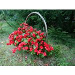 Zdjęcia użytkowników Sony Xperia X Compact