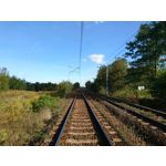 Zdjęcia użytkowników Sony Xperia X Compact