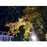 Zdjęcia użytkowników Sony Xperia X Compact