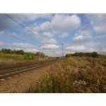 Zdjęcia użytkowników Sony Xperia X Compact