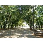 Zdjęcia użytkowników Sony Xperia X Compact