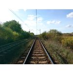 Zdjęcia użytkowników Sony Xperia X Compact