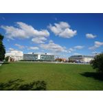 Zdjęcia użytkowników Sony Xperia X Compact