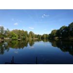 Zdjęcia użytkowników Sony Xperia X Compact