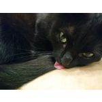 Zdjęcia użytkowników Sony Xperia X Compact