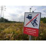 Zdjęcia użytkowników Sony Xperia X Compact