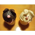 Zdjęcia użytkowników Sony Xperia XA Ultra