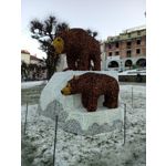 Zdjęcia użytkowników Sony Xperia XA Ultra