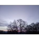 Zdjęcia użytkowników Sony Xperia XA Ultra