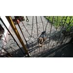 Zdjęcia użytkowników Sony Xperia XA1 Zdjęcia użytkowników Sony Xperia XA1