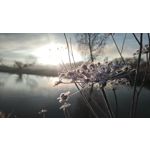 ZDJĘCIA Z TEGO TELEFONU