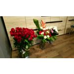 Zdjęcia użytkowników Sony Xperia XA1 Zdjęcia użytkowników Sony Xperia XA1