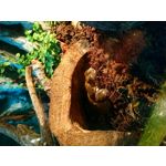 ZDJĘCIA Z TEGO TELEFONU