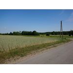 Zdjęcia użytkowników Sony Xperia XZ1 Compact