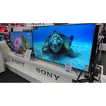 Zdjęcia użytkowników Sony Xperia XZ2