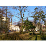 Zdjęcia użytkowników Sony Xperia Z