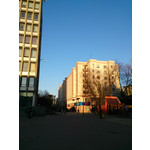 Zdjęcia użytkowników Sony Xperia Z