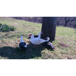 Zdjęcia użytkowników Sony Xperia Z