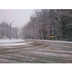 Zdjęcia użytkowników Sony Xperia Z