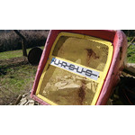 Zdjęcia użytkowników Sony Xperia Z