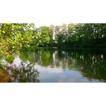 Zdjęcia użytkowników Sony Xperia Z