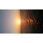 Zdjęcia użytkowników Sony Xperia Z