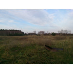 Zdjęcia użytkowników Sony Xperia Z