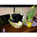 Zdjęcia użytkowników Sony Xperia Z