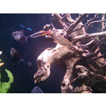 Zdjęcia użytkowników Sony Xperia Z