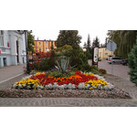 Zdjęcia użytkowników Sony Xperia Z