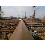 Zdjęcia użytkowników Sony Xperia Z