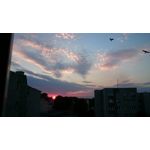 Zdjęcia użytkowników Sony Xperia Z1 C6903